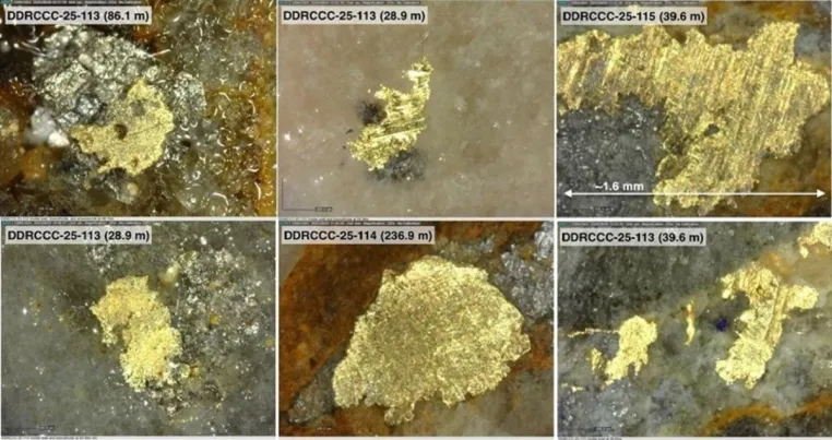 Sitka Gold: Auch Contact-Zone mit Potenzial auf Millionen Unzen Gold Bild: Sitka Gold: Auch Contact-Zone mit Potenzial auf Millionen Unzen Gold