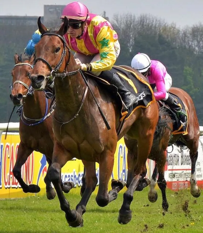 LOVELETT unter Jockey Filip Minarik bei ihrem Sieg in Dresden 2017 (Photo: Beatrice Ehlert)