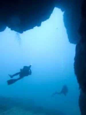 Bild: Neues Informationsportal: Tauchen auf Ustica – das Taucherparadies im Mittelmeer