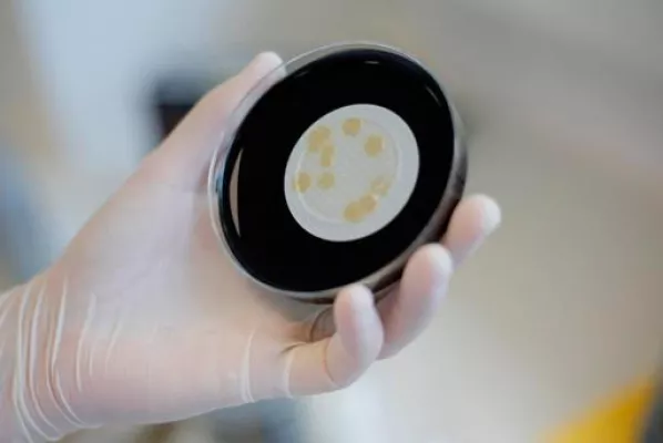 Bild: Die Gefahr lauert in jeder Leitung