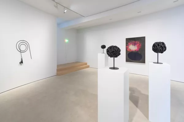 Bild: Galerie Jahn - Ausstellung Michael Sailstorfer "C'est la vie, Sellerie" 17.06. - 31.07.20
