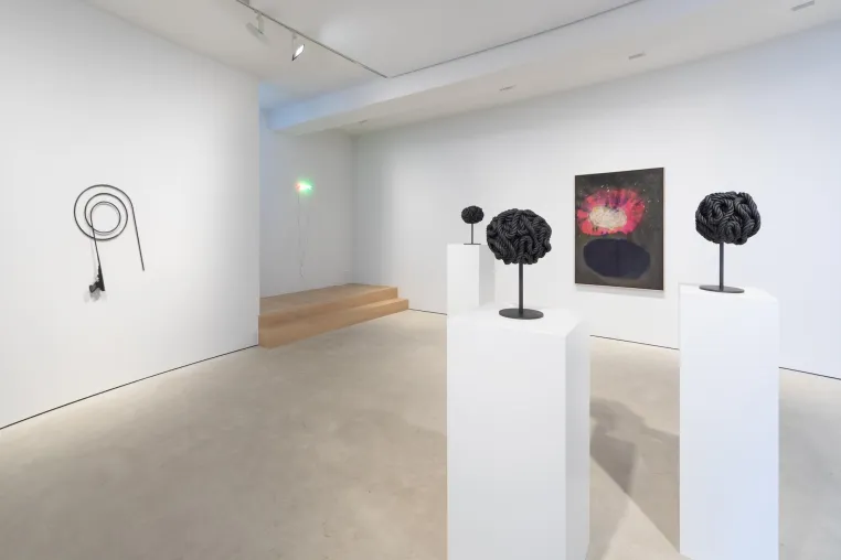 Bild: Galerie Jahn - Ausstellung Michael Sailstorfer "C'est la vie, Sellerie" 17.06. - 31.07.20