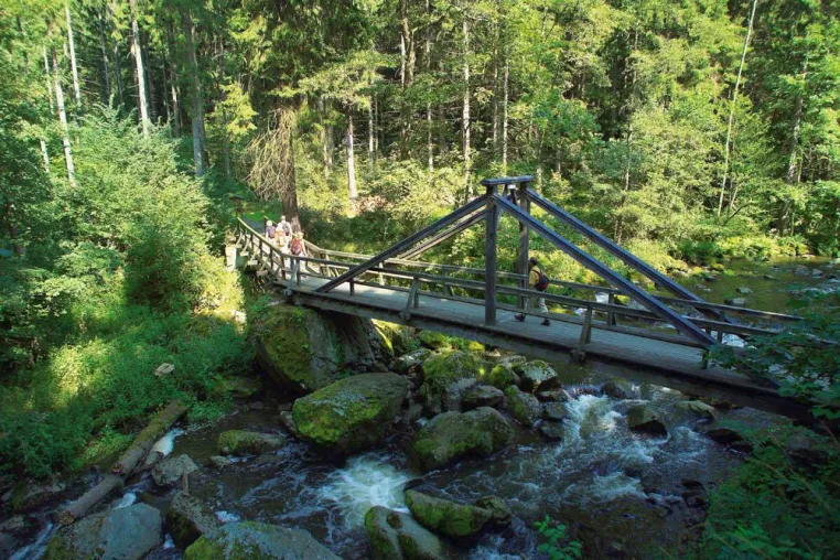 Bild: Höllisch gut wandern im Naturpark Frankenwald - Im Höllental finden Urlauber ein Dorado für Wanderliebhaber