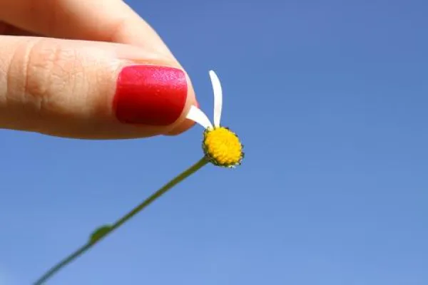 Bild: Unternehmerische Entscheidung: Handeln oder Abwarten?