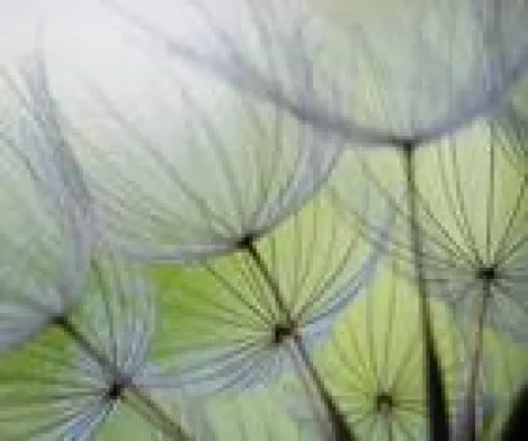 Bild: kostengünstige und einfacher Service für Handwerker und Endverbraucher