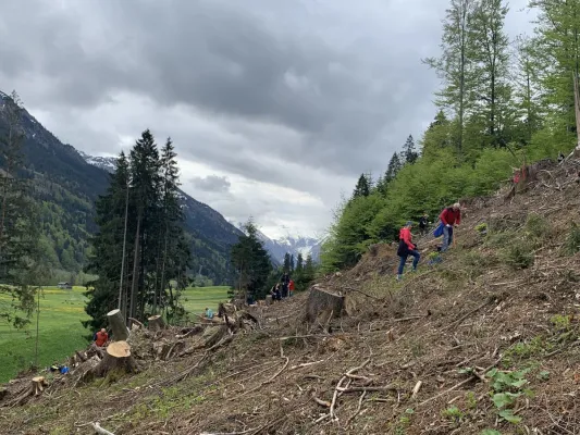 Bild: greiterundcie. macht Marketing im Bergwald