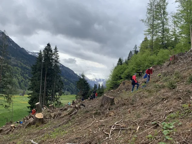 greiterundcie. macht Marketing im Bergwald Bild: greiterundcie. macht Marketing im Bergwald
