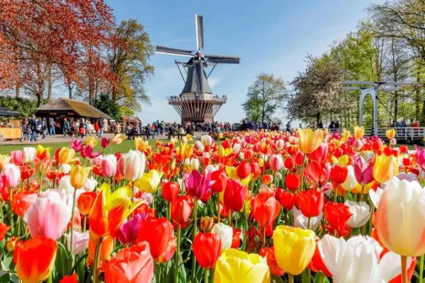 Bild: Zur Tulpenblüte nach Holland: Städtereise zum größten Garten Europas