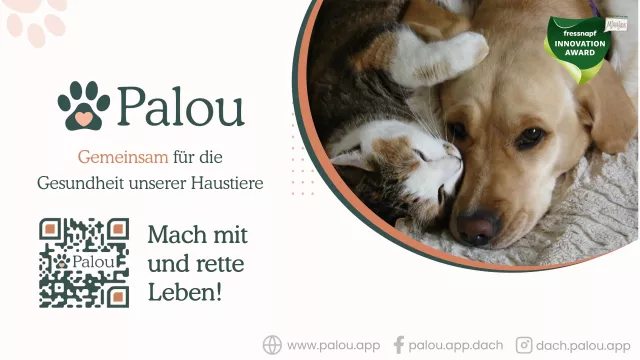 Bild: Palou macht’s möglich: Blutspender für Hunde und Katzen einfach und kostenlos finden