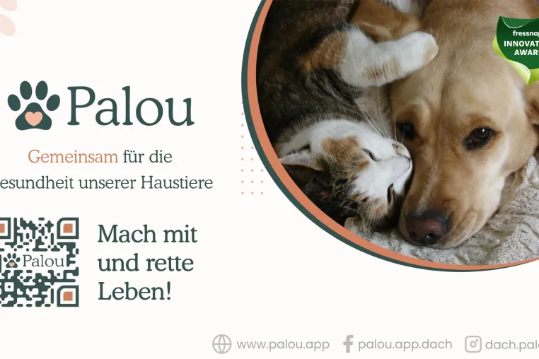 Palou macht’s möglich: Blutspender für Hunde und Katzen einfach und kostenlos finden Bild: Palou macht’s möglich: Blutspender für Hunde und Katzen einfach und kostenlos finden