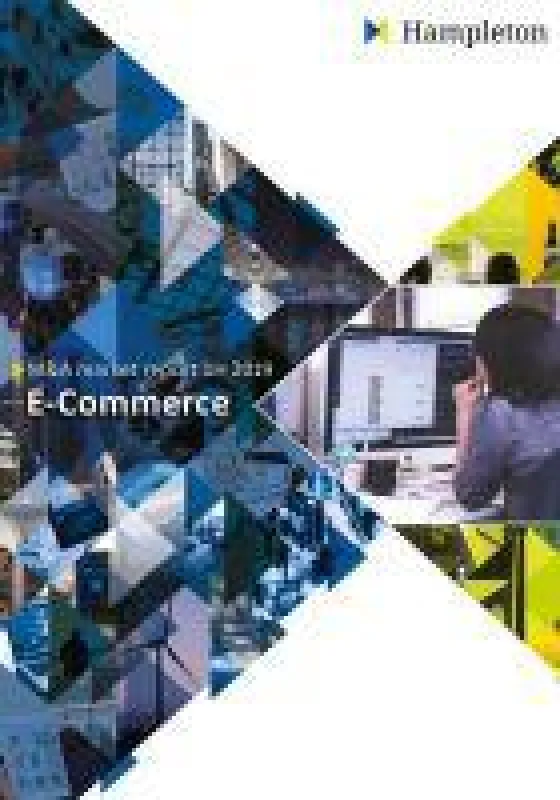 Laut aktuellem Hampleton Partners Report gab es in 2018 einen Anstieg des veröffentlichten M&A-Wertes im E-Commerce um 20 Mrd USD