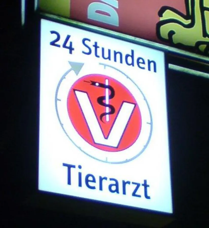24 Stunden Tierarztpraxis