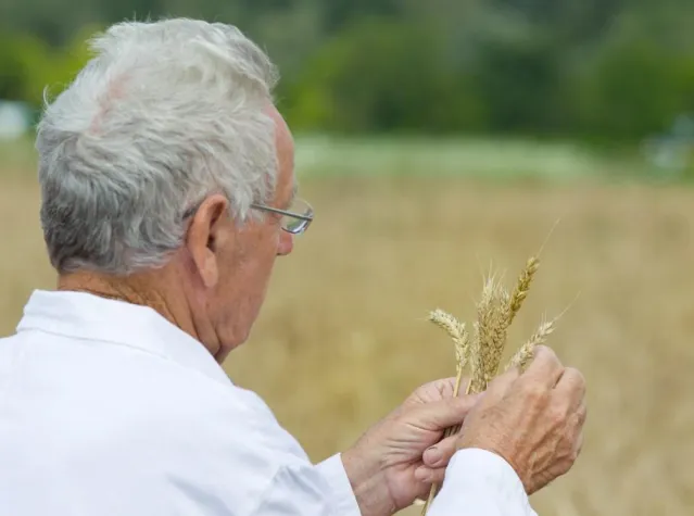 Biologischer oder konventioneller Anbau? Bild: Biologischer oder konventioneller Anbau?