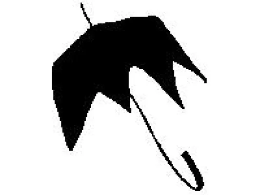 Bild: „Damit jede Frau ein selbstbestimmtes Leben führen kann“ Selbstverpflichtung des autonomen Frauenzentrums