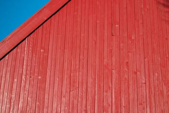 Bild: Volvox proAqua belebt das Holz