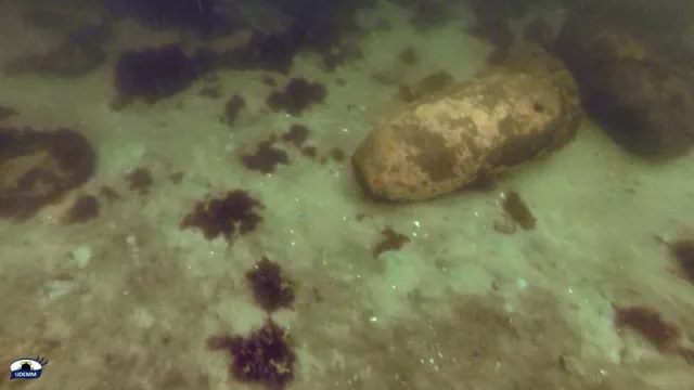 Bild: Rostbomben in der Ostsee - Umweltmonitoring der Munitionsaltlasten