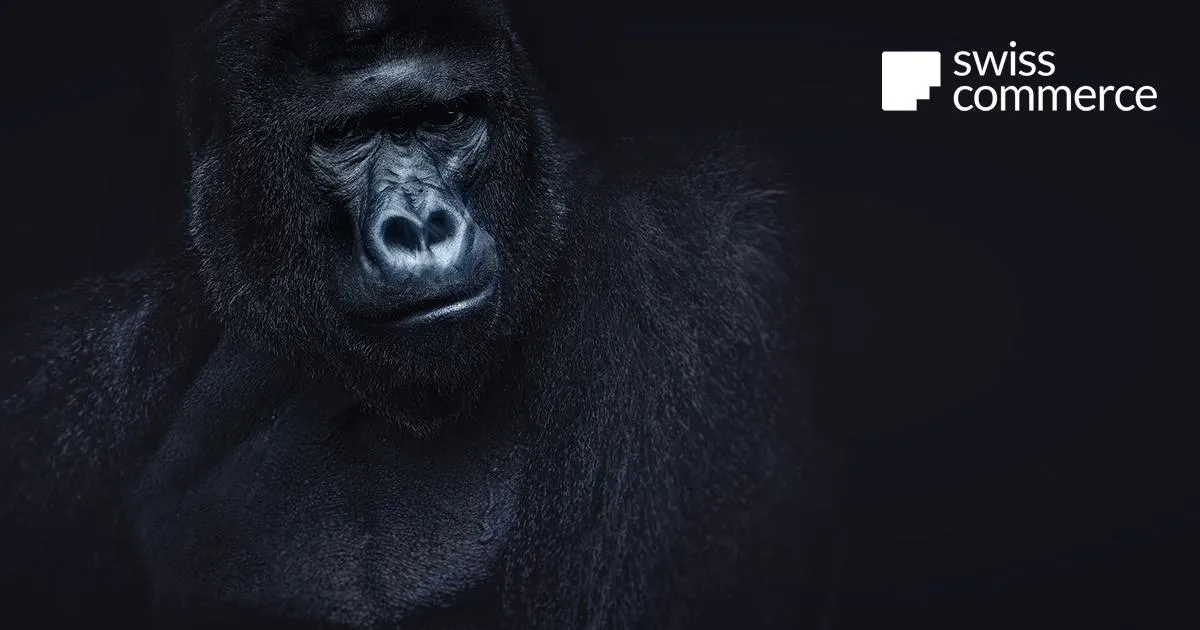 Seit zwei Jahren vertraut SwissCommerce auf Business Intelligence von minubo