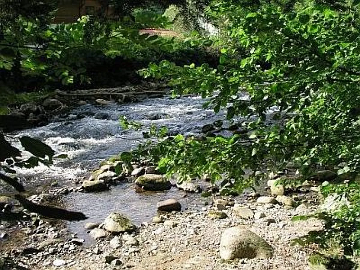 Wandern in der Wildbachklamm