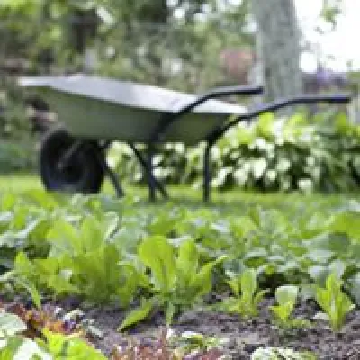 Bild: Die Zeichen stehen auf grün