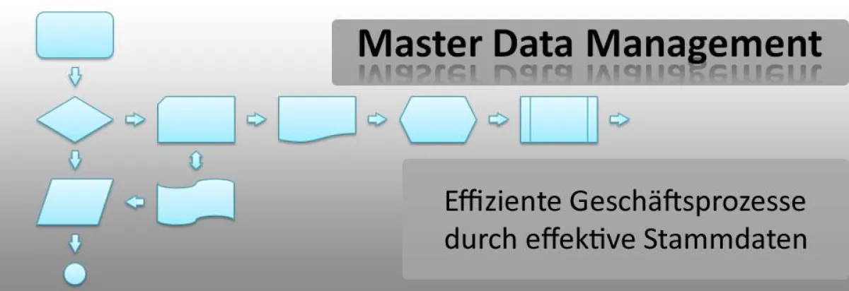 Hohe Datenqualität und einheitliche Stammdaten sind der Schlüssel zu effizienten Prozessen und Koste