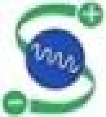 Bild: Heuschnupfen – Erfolgreicher Kampf gegen die Pollenallergie