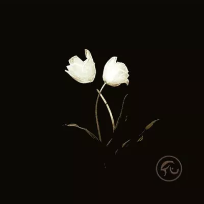 Bild: BORN FOR BLISS veröffentlichen neue EP