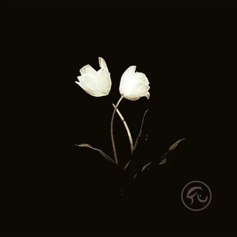 Bild: BORN FOR BLISS veröffentlichen neue EP