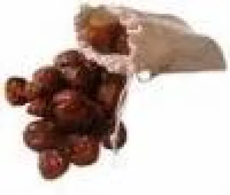 Bild: Handelsgesellschaft probasM –Cornelia Starke vermarktet neue Erfindung aus Mecklenburg-Vorpommern