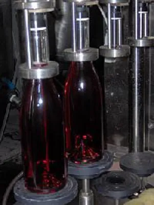 Klein, Fein, Experimentell - Das israelische Familienweingut Vitkin Bild: Klein, Fein, Experimentell - Das israelische Familienweingut Vitkin