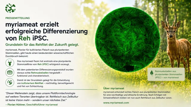 myriameat erzielt erfolgreiche Differenzierung von Reh-iPSC. Grundstein für das Rehfilet der Zukunft gelegt! Bild: myriameat erzielt erfolgreiche Differenzierung von Reh-iPSC. Grundstein für das Rehfilet der Zukunft gelegt!