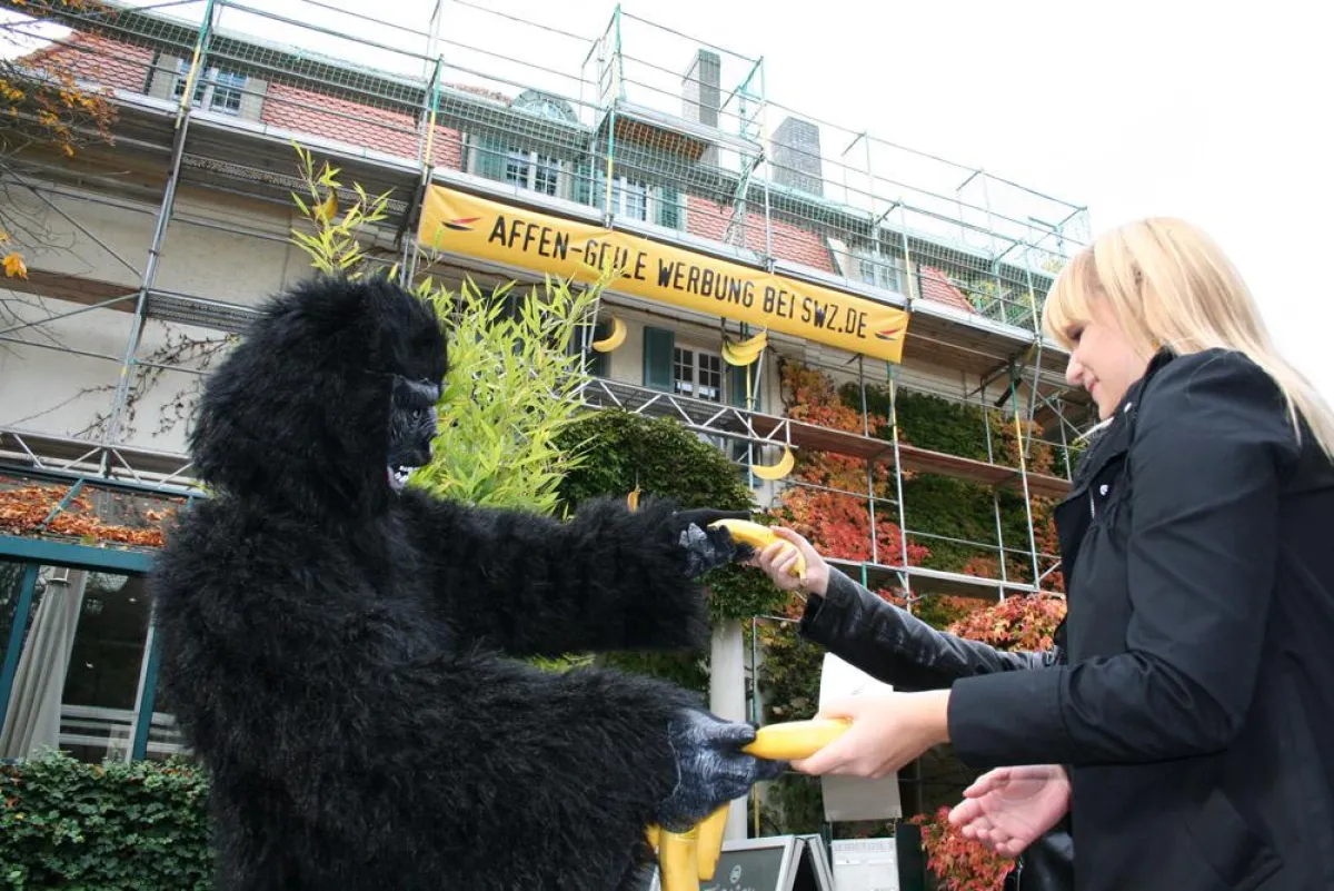 Echtes Gorilla-Guerilla-Marketing: Gorilla Bubu verteilt Bananen.