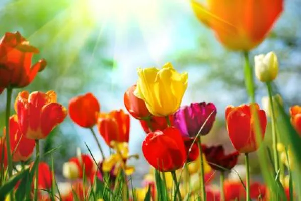 Bild: Lebenslust, Lebensfrust - was uns der Frühling beschert