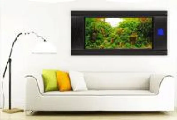 Bild: Aquarium mit Fernbedienung?