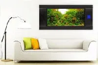Bild: Aquarium mit Fernbedienung?