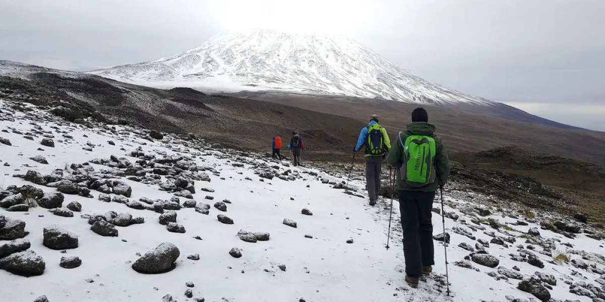 Der Kilimanjaro im Schnee