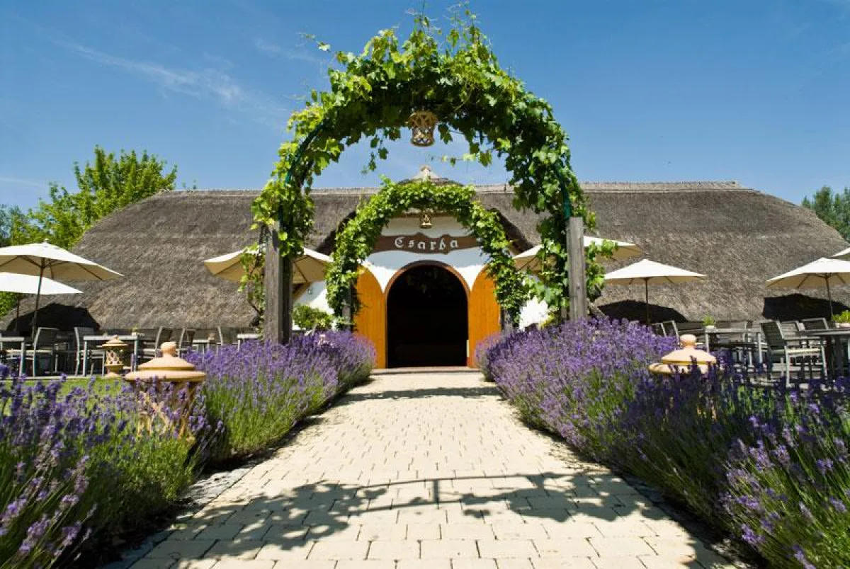 VILA VITA Pannonia (Foto: Vila Vita)