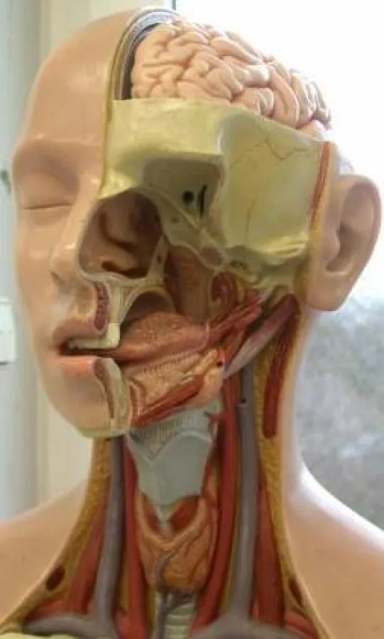 Was unser Gedächtnis sich behält, ist davon abhängig, auf welche Aspekte des Geschehens man sich konzentriert.