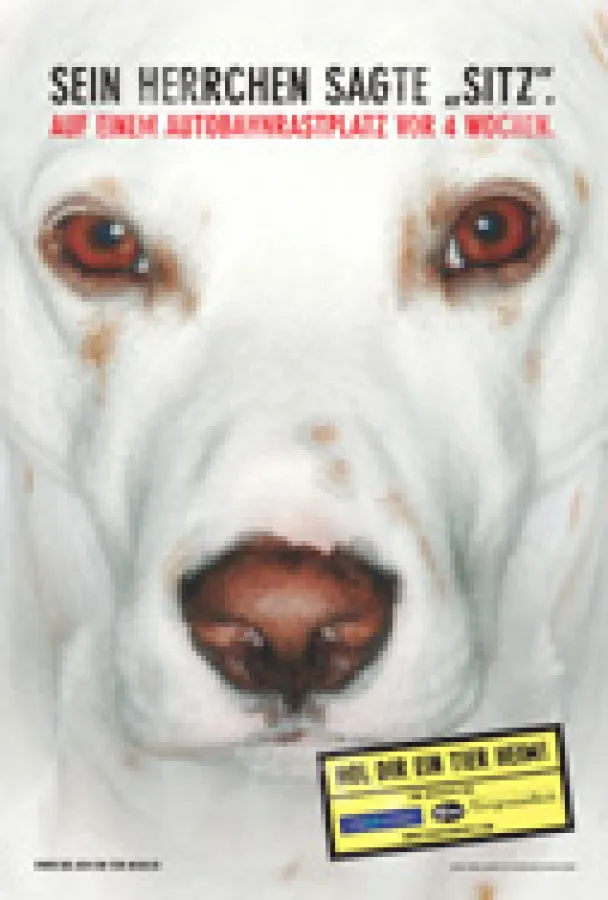 Gelungene Social Marketing Kampagne „Hol Dir ein Tier heim“.