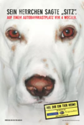 Bild: Freudl & Friends unterstützt PR-Kampagne „Hol Dir ein Tier heim“