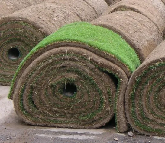 Bild: Warten auf den Frühling und die Gartensaison 2010