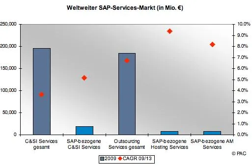 Bild: SAP Services - Rettungsanker im Strudel der Krise?