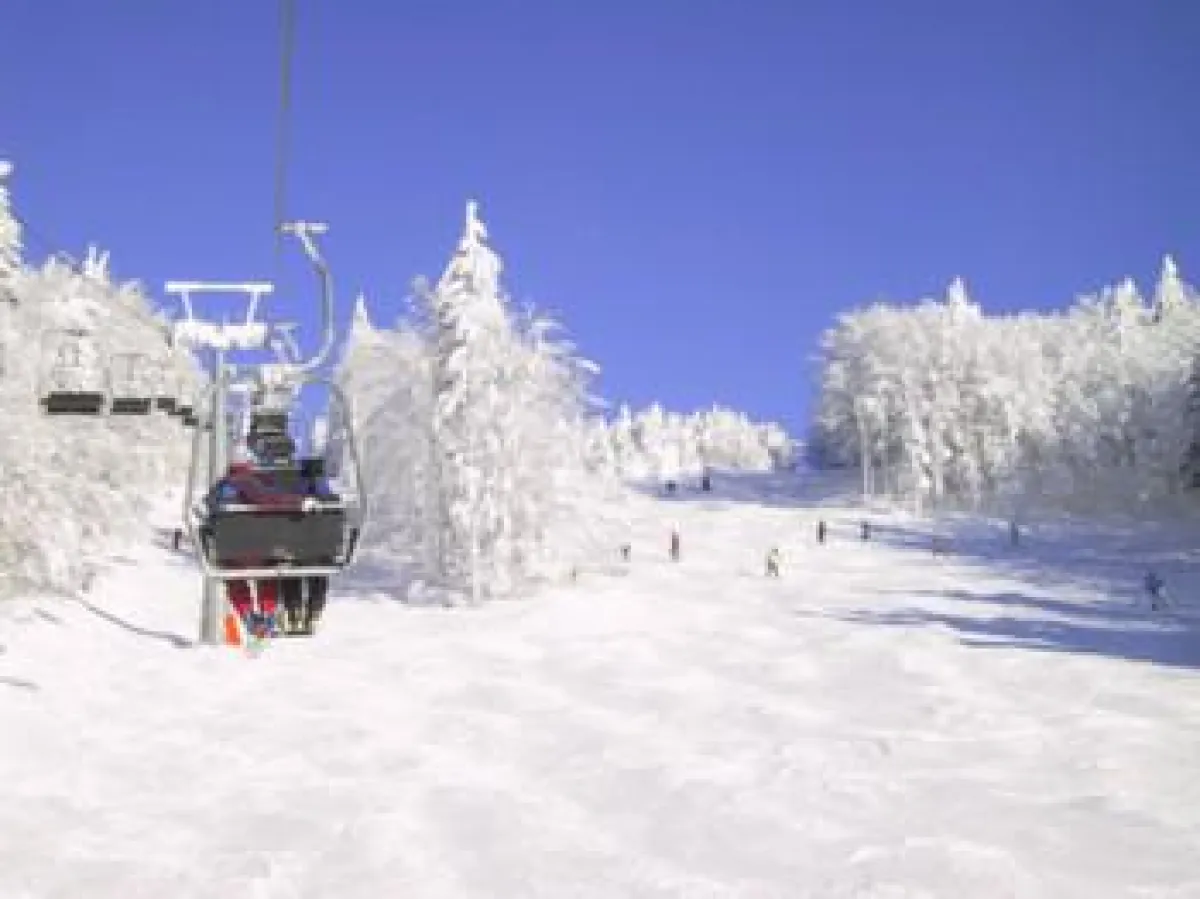 Winter im Bayerischen Wald
