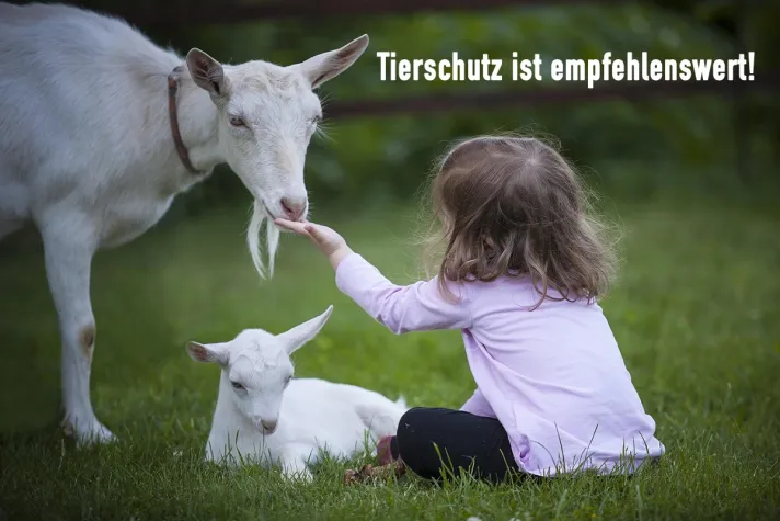 Bild: Tierschutz ist empfehlenswert