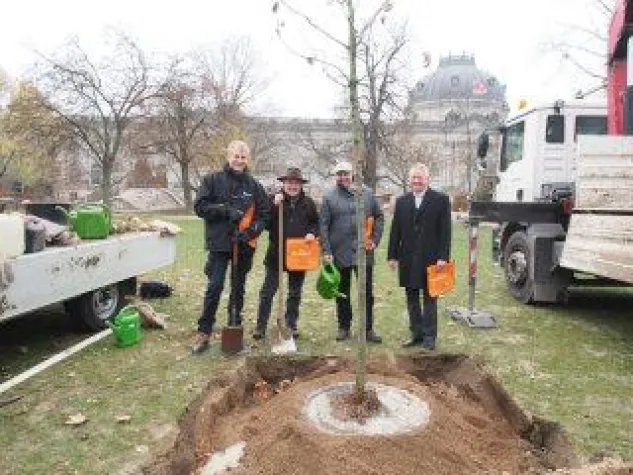 Bild: Meisterteam schafft Lebensräume
