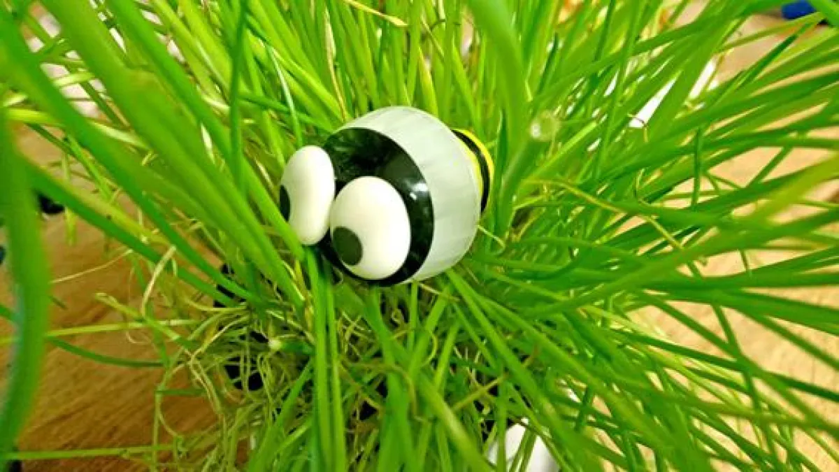 Rechte: Kinder-DIY-Trends