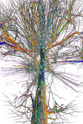 Bild: TREE LINED MARIENBURG im Plant Community Concept