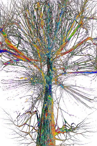 Bild: TREE LINED MARIENBURG im Plant Community Concept