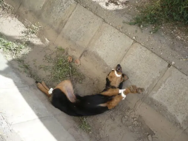 Bild: Gefesselt, geknebelt und weggeworfen.....