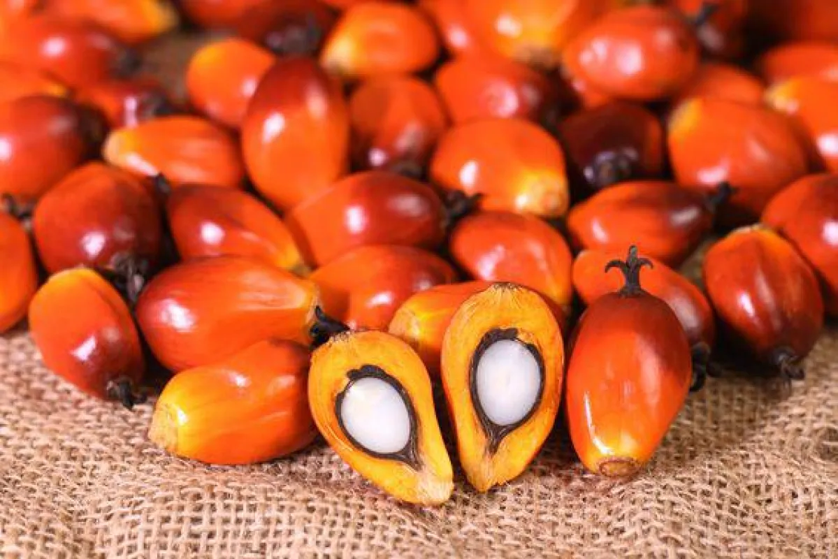 Foto: Fotolia (No. 5172)