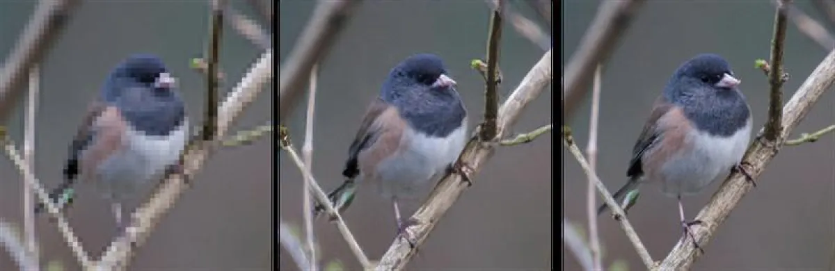 EnhanceNet-PAT is capable of upsampling a low-resolution image (left) to a high definition version (middle). The result is indistinguishable from the original image (right). (MPI for Intelligent Syste